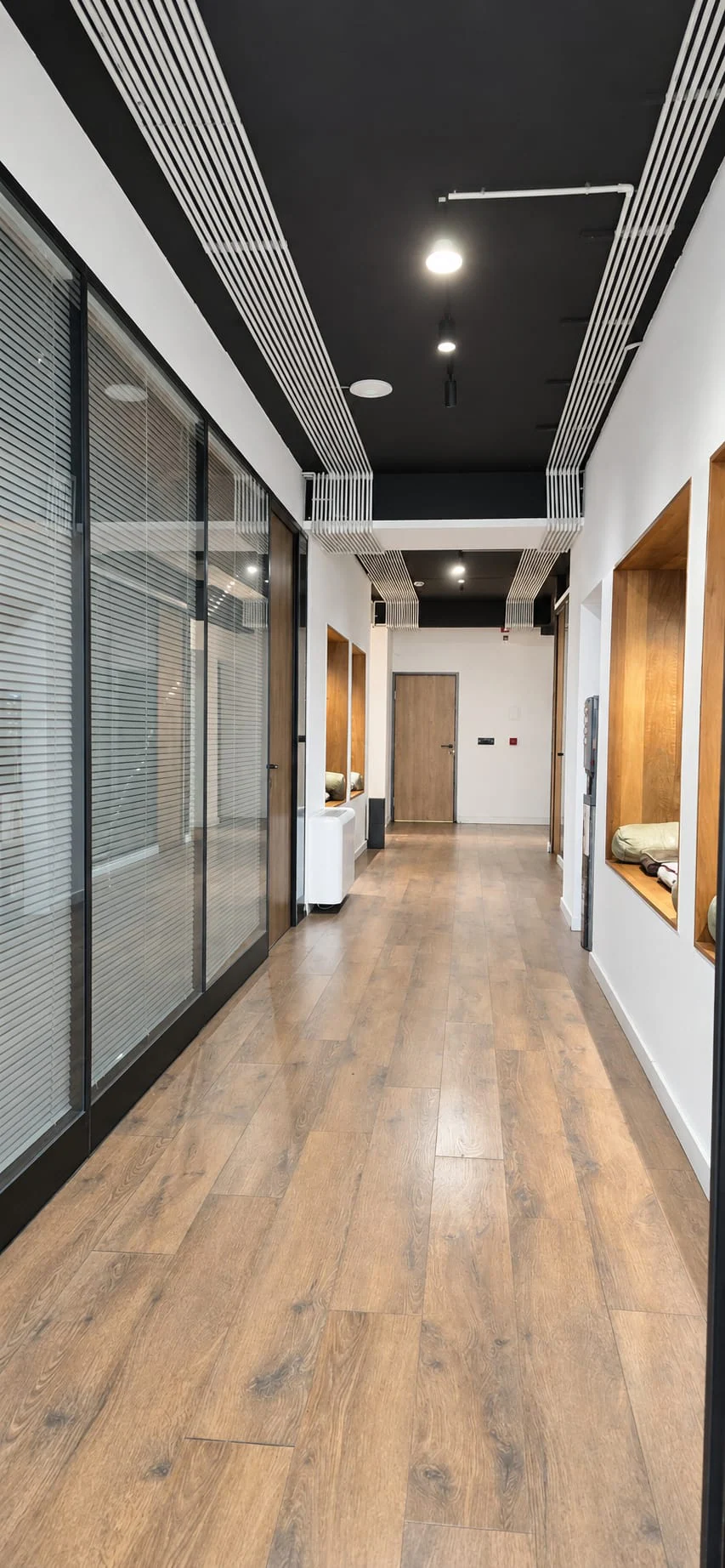 The bright corridor inside the AFAM offices